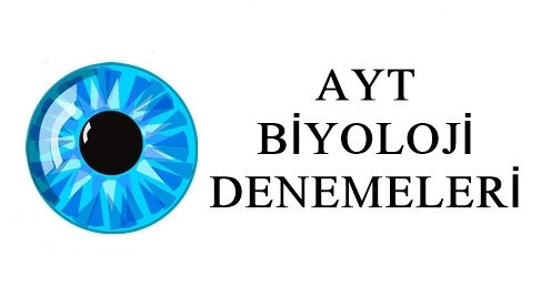 ayt denemeleri