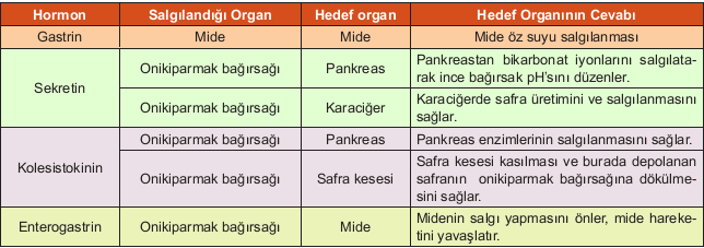 sindirimhormonlari