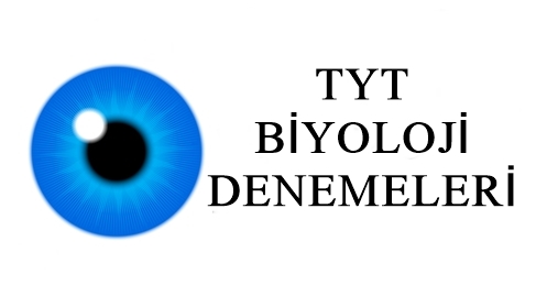 tyt biyoloji denemeleri
